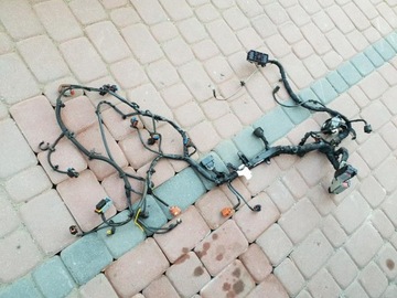 Проводка двигателя opel insignia 23114454, фото