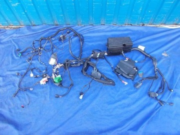 Wiring block ford focus mk3 rs 2016- sxc, фото