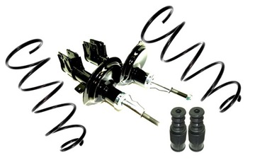 Амортизаторы пружины резины перед peugeot 307 1, 4+ hdi 2000-2007, фото