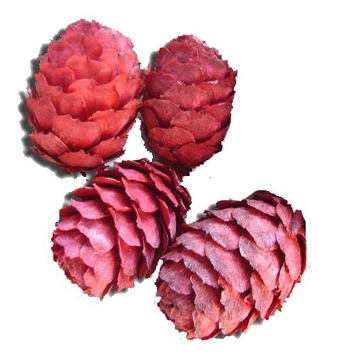 Bump modrzewiowa cones larch red 4 pcs, фото