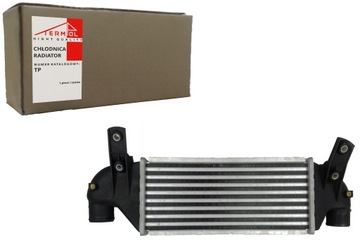 Radiator air ford fiesta 4 focus 1 1.8, фото