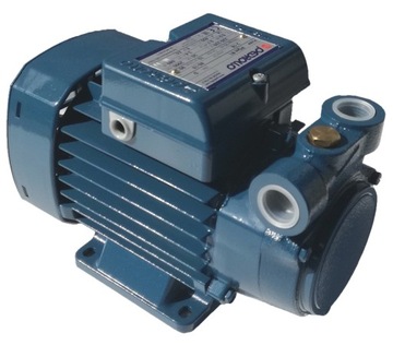 Насос PQm 81 Pro EPDM 230V 15l 8BAR Pedrollo HD