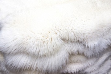 Шкіра овеча шкіра Фарерські острови кремові білі 100-110см