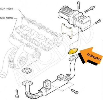 55 Заглушка EGR ALFA FIAT LANCIA OPEL 1.9 2.4 JTDM