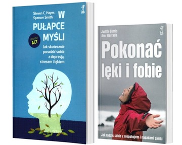 W pułapce myśli Pokonać lęki i fobie Barrada Hayes