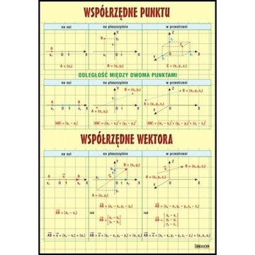 Współrzędne punktu i wektora plansza dydaktyczna