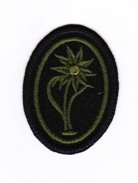 VAR naszywka na beret SZAROTKA