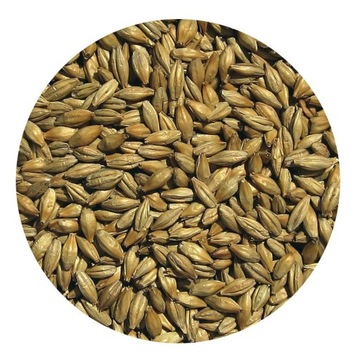 Słód WIEDEŃSKI Viking Malt 5kg
