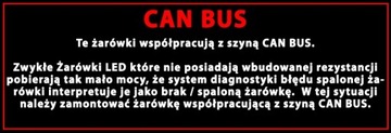 C5W C10W Светодиодная лампа CAN BUS 18SMD 3014 31мм 180лм