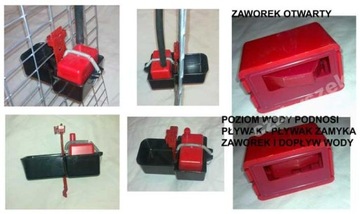 POIDŁO AUTOMATYCZNE 6cm dla królików drobiu kury