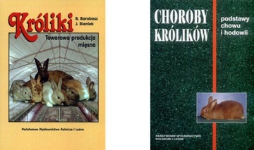 Króliki towarowa hodowla chów + Choroby królików