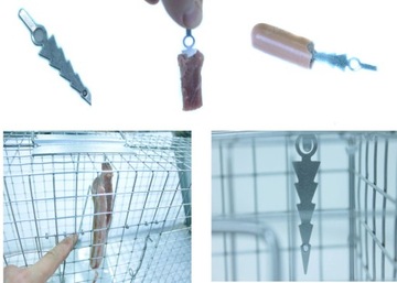 Żywołapka Trap Fox Marten Otters Beavers Эффективные кошки