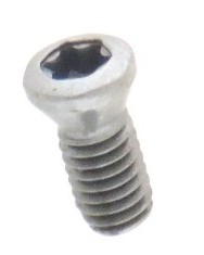 ŚRUBA DO MOCOWANIA PŁYTKI UTWARDZANA M2,5x9 TORX