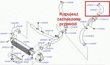 ШЛАНГ ТРУБКИ ТУРБО ИНТЕРКУЛЕР NISSAN PRIMERA P12 1.9 dci 14463AW300