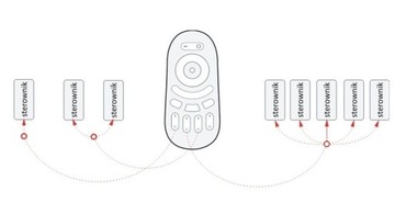 4-зонный контроллер MONO LED с дистанционным управлением RF2.4G #566