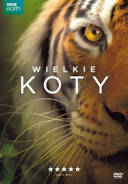 WIELKIE KOTY DVD FOLIA