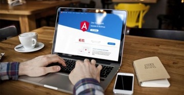 Курс Angular 4 и 14-часовой сборник AngularJS — DVD