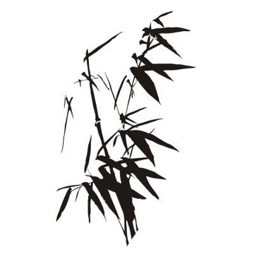 Naklejka na ścianę - Bambus 6