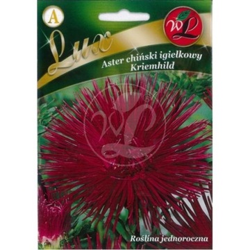 Aster rubinowy KRIEMHILD 0,5g NOWOŚĆ