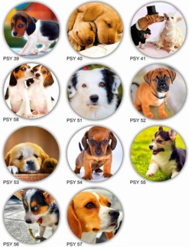 Топперы для торта DOGS & DOGS, диаметр 20 см, плотные, яркие цвета