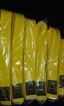 Ремень буси каратэ тхэквондо дзюдо, желтый, 160 см