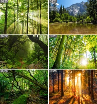 Plakat poster PSY KOTY ZWIERZĘTA 40x30 max wybór