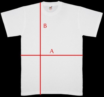 ПОЛОНЕЗ ФСО, так называемый Футболка BOREWICZ XXXL 3XL