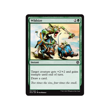 MTG 4x Wildsize