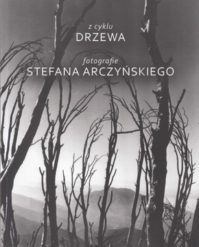 Drzewa. Fotografie Stefana Arczyńskiego Arczyński