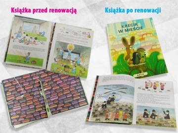 Pan Samochodzik renowacja naprawa odnowienie