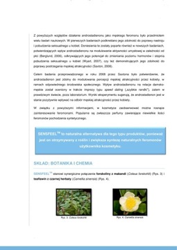 MARCELO BRACI 50ml PHEROMONES - ДУХИ С ФЕРОМОНАМИ