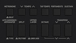 CASIO CT-X3000 Keyboard - SMF/WAV player