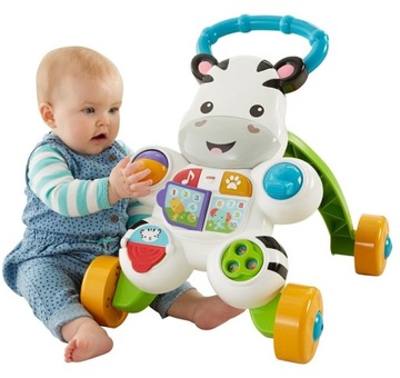 ИНТЕРАКТИВНЫЕ ХОДОКИ FISHER PRICE ZEBRA DPL53 w24h