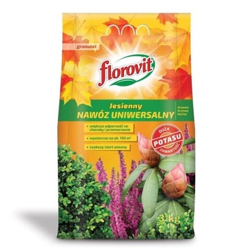 Florovit Nawóz Na Jesień Jesienny 3Kg