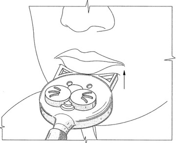 МАССАЖНЫЙ КОНЕЦ, ЛОГОПЕДИЧЕСКИЙ ВИБРАТОР ДЛЯ СОБАК