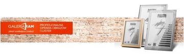 ANTYRAMA 30x40 - PLEXI - PRODUCENT