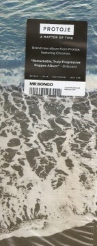 Protoje - Вопрос времени *LP