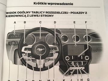 Ford Mustang VI с 2014 года руководство пользователя польское купе кабриолет 2.3 5.0