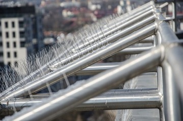 САМЫЕ ДЛИННЫЕ ИЗ НЕРЖАВЕЮЩИХ НЕРЖАВЕЮЩИЕ КОЛИКИ ДЛЯ ПТИЦ И ГОЛУБЕЙ