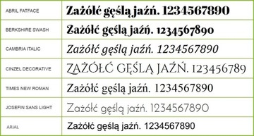 Ручки Cosmo смешивают 21 цвет - Ваш гравер