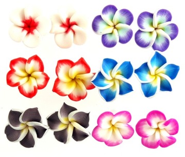 Zestaw kolczyków 6 par kwiaty hawajskie kwiat