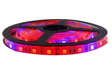Taśma LED 5050 300 GROW wzrostu roślin 12V IP65 5m