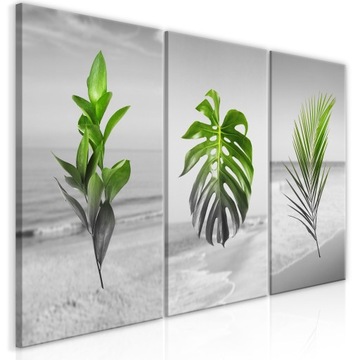 OBRAZ MORZE MONSTERA LIŚCIE 120x60cm b-A-0392-b-e