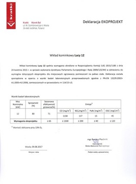 КАМИННАЯ ВСТАВКА камин ECO LUCY 12 DOLE + бесплатно