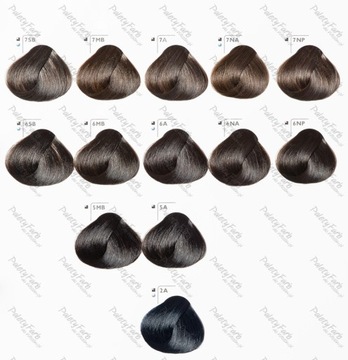 GOLDWELL TOPCHIC КРАСКА 60 мл + ОКИСЛИТЕЛЬ 60 мл