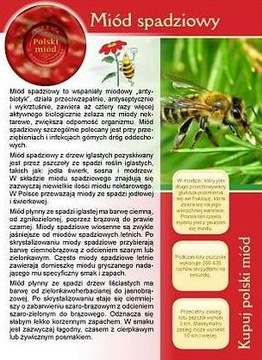 Broszura informacyjna - Miód SPADZIOWY ul pasieka