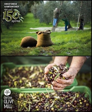 ОЛИВКОВОЕ МАСЛО Elaiones из Греции 1л урожай 2023г.