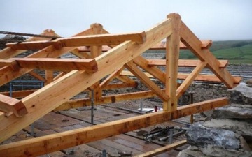 ПРОМПРЕГНАТ ДЛЯ КРОВЛИ, КОНЦЕНТРАТ 1:9 5КГ