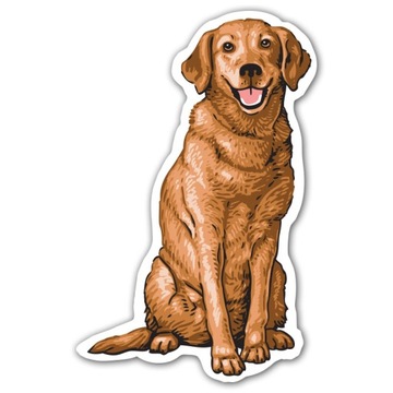 Naklejka LABRADOR 15 cm na samochód PIES