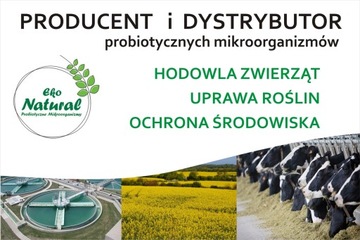 DOKTOR ANIMALS PROBIOTYK DLA PSZCZÓŁ 2L
